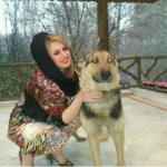 تصویر کاربر با کد 335