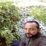 تصویر پروفایل مهدی