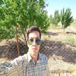 تصویر پروفایل شهاب تصویر پروفایل شهاب