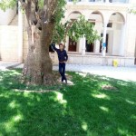 تصویر کاربر با کد 41203