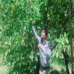 تصویر پروفایل سیدمحمد