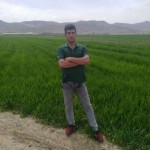 تصویر پروفایل محمد مهدی