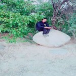تصویر پروفایل علی