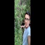 تصویر کاربر با کد 338513