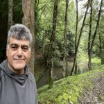 تصویر پروفایل مسعود