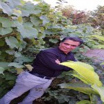 تصویر پروفایل حمید