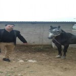 تصویر پروفایل سعید سعادت