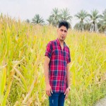 تصویر پروفایل حمید