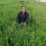 تصویر کاربر با کد 551638