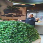 تصویر پروفایل مجتبی