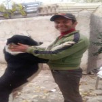 تصویر پروفایل امیر تصویر پروفایل امیر