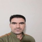 تصویر پروفایل حامد