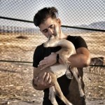 تصویر پروفایل سهیل