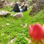 تصویر پروفایل فردوس