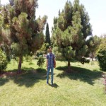 تصویر پروفایل فرید