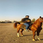 تصویر پروفایل امین