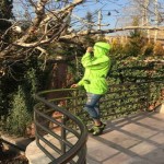 تصویر کاربر با کد 517205