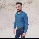 تصویر پروفایل شاهین