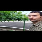 تصویر کاربر با کد 888823