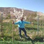 تصویر پروفایل مصطفی ارجنه