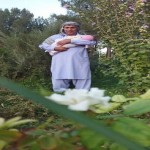 تصویر پروفایل حسین