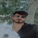 تصویر پروفایل شاهین