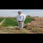 تصویر پروفایل مجید