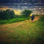 تصویر پروفایل بدون نام