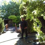 تصویر کاربر با کد 852263