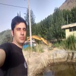 تصویر پروفایل پیام