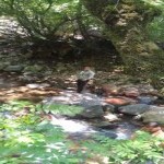 تصویر کاربر با کد 988946