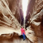 تصویر کاربر با کد 1014602