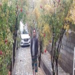 تصویر پروفایل رضا