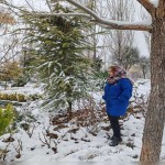 تصویر کاربر با کد 739285