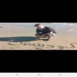 تصویر کاربر با کد 1110779