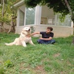 تصویر پروفایل سروش تصویر پروفایل سروش