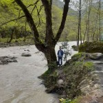 تصویر پروفایل بابک