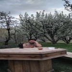 تصویر پروفایل علی