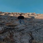 تصویر پروفایل مجتبی