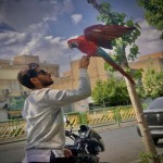 تصویر پروفایل سپهر