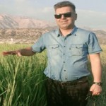 تصویر پروفایل مازیار