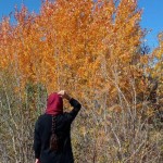 تصویر کاربر با کد 1261632