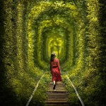 صیغه روزانه شهرکرد