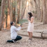 آدرس بهترین سایت همسریابی