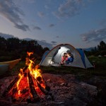 آدرس سایت همسریابی بهترین همسرگزینی