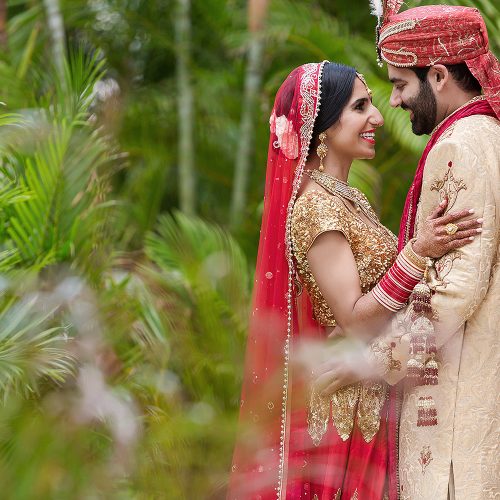 تصویر صیغه یابی هلو ورود به پنل کاربری