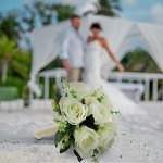 تصویر بهترین اپ دوستیابی