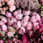 روش ارسال اس ام اس عاشقانه برای همسر