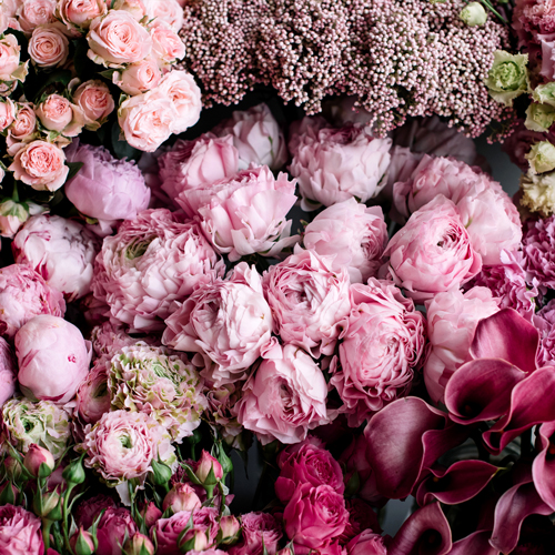 روش ارسال اس ام اس عاشقانه برای همسر