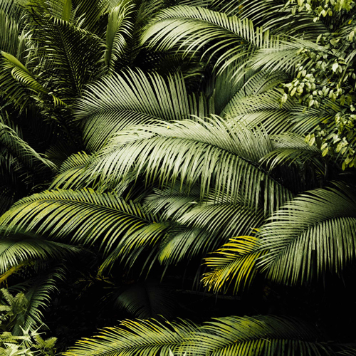 خواندن شعر عاشقانه حافظ طولانی